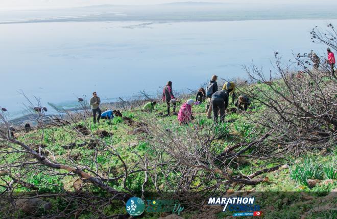 Marathon COMAR de TUNIS-CARTHAGE : Action de reboisement 