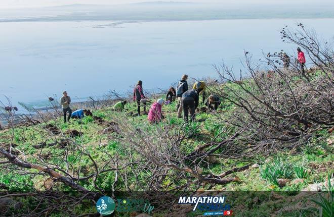 Marathon COMAR de TUNIS-CARTHAGE : Action de reboisement 